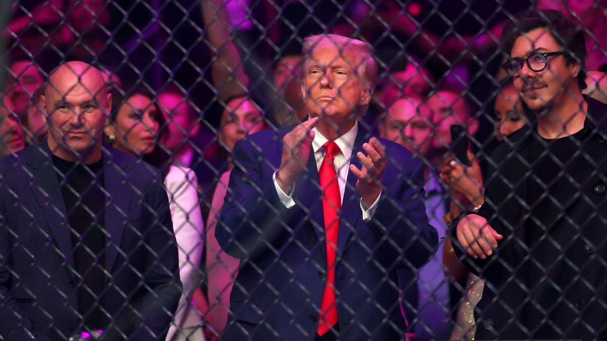 Trump says UFC fight will take place on White House grounds  at george magazine