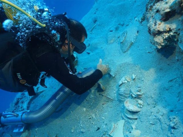 Divers discover 2,000-year-old shipwreck loaded with pristine ancient ceramics: ‘Extremely valuable’