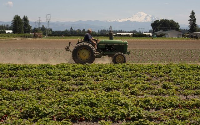 Trump USDA declines to defend Biden-era race-based farmer assistance programs