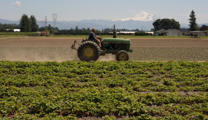 Trump USDA declines to defend Biden-era race-based farmer assistance programs  at george magazine