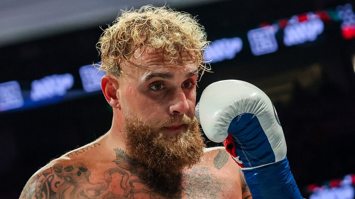 Jake Paul to fight Gervonta 'Tank' Davis in November exhibition on Netflix  at george magazine