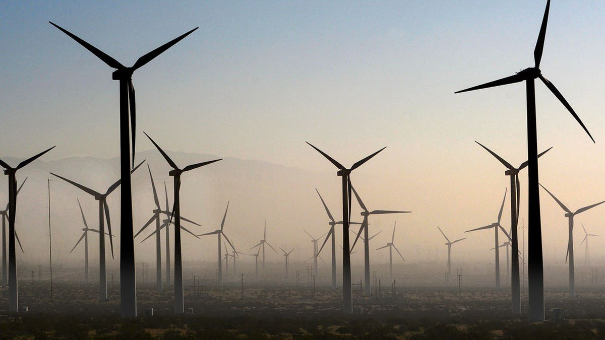Gargantuan ‘bird cemeteries’ in Burgum’s crosshairs as DOI looks to curb green wind projects  at george magazine