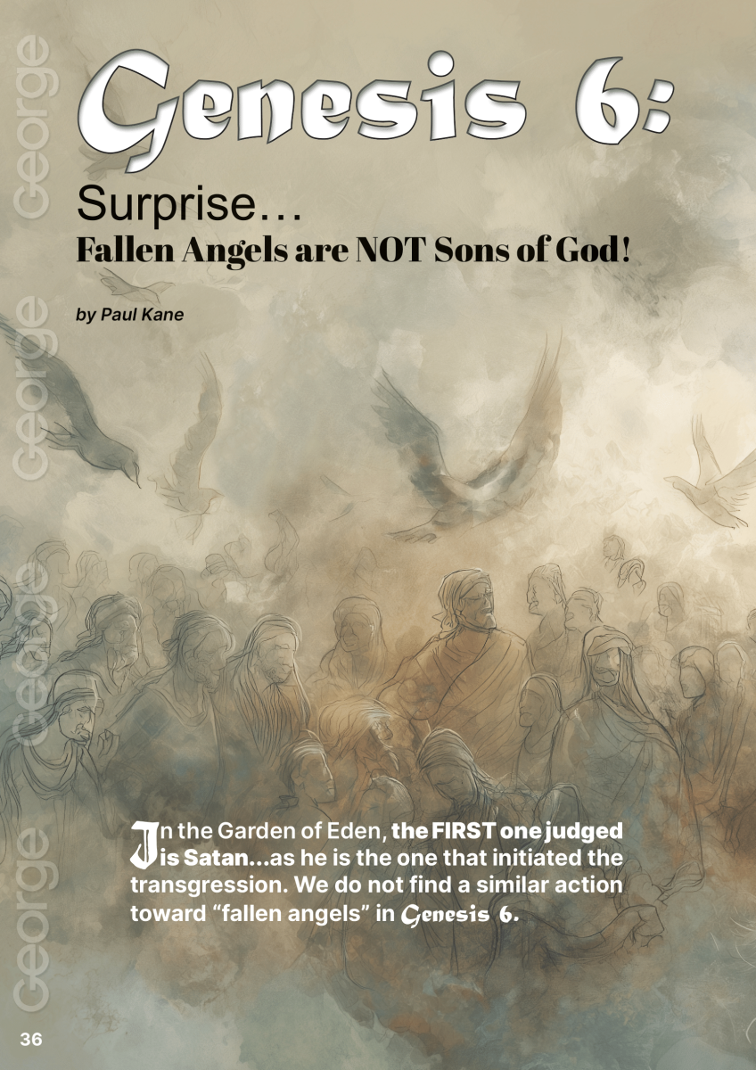 Faith’s Corner  at george magazine