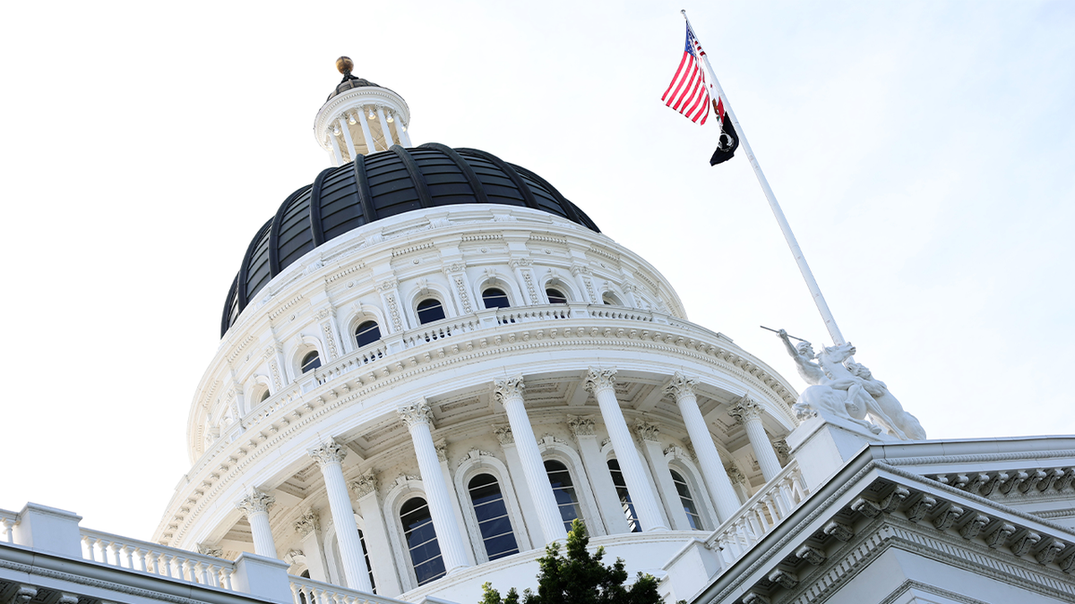 STEVE HILTON: Why I'm launching a legal war against California Democrats' unconstitutional power grab  at george magazine