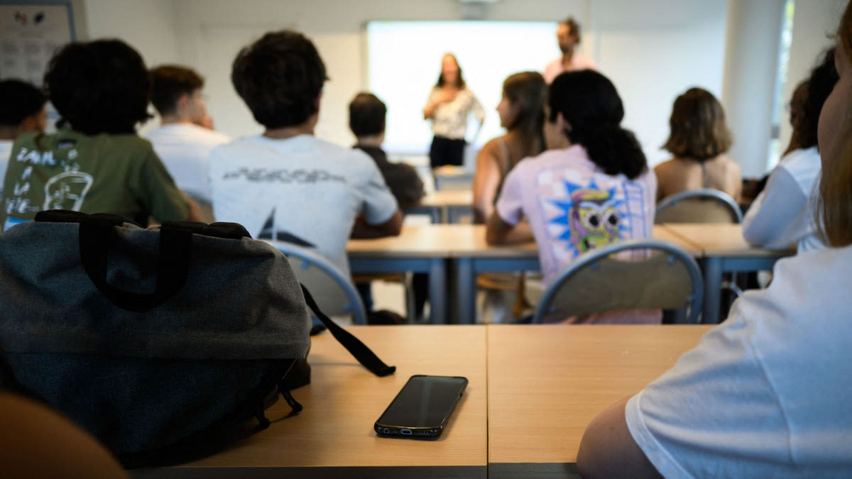 Despite bans, DEI remains widespread in college hiring, analysis shows  at george magazine