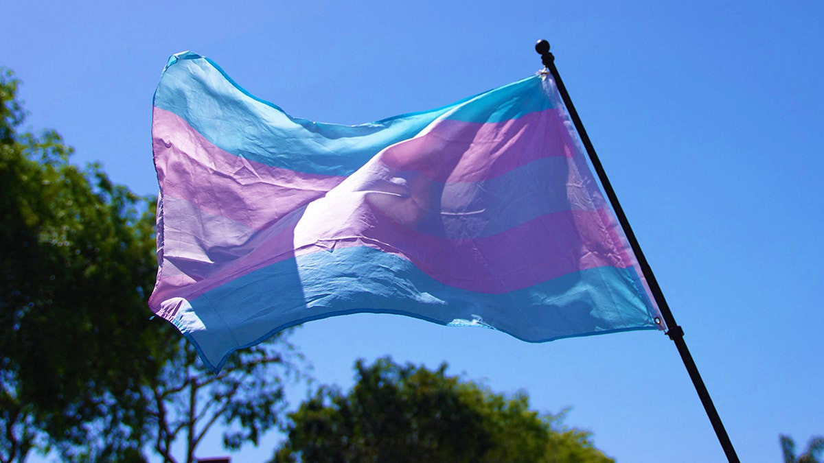Appeals court allows Arkansas' first-in-the-nation ban on gender transition care for minors to be enforced  at george magazine