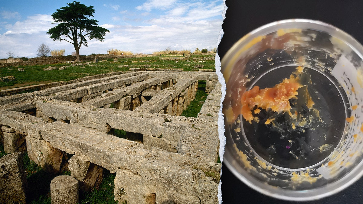 Researchers discover 2,500-year-old honey residue in ancient bronze jars  at george magazine