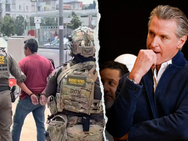 WATCH: US Border Patrol agents make arrest outside Gavin Newsom anti-Trump rally