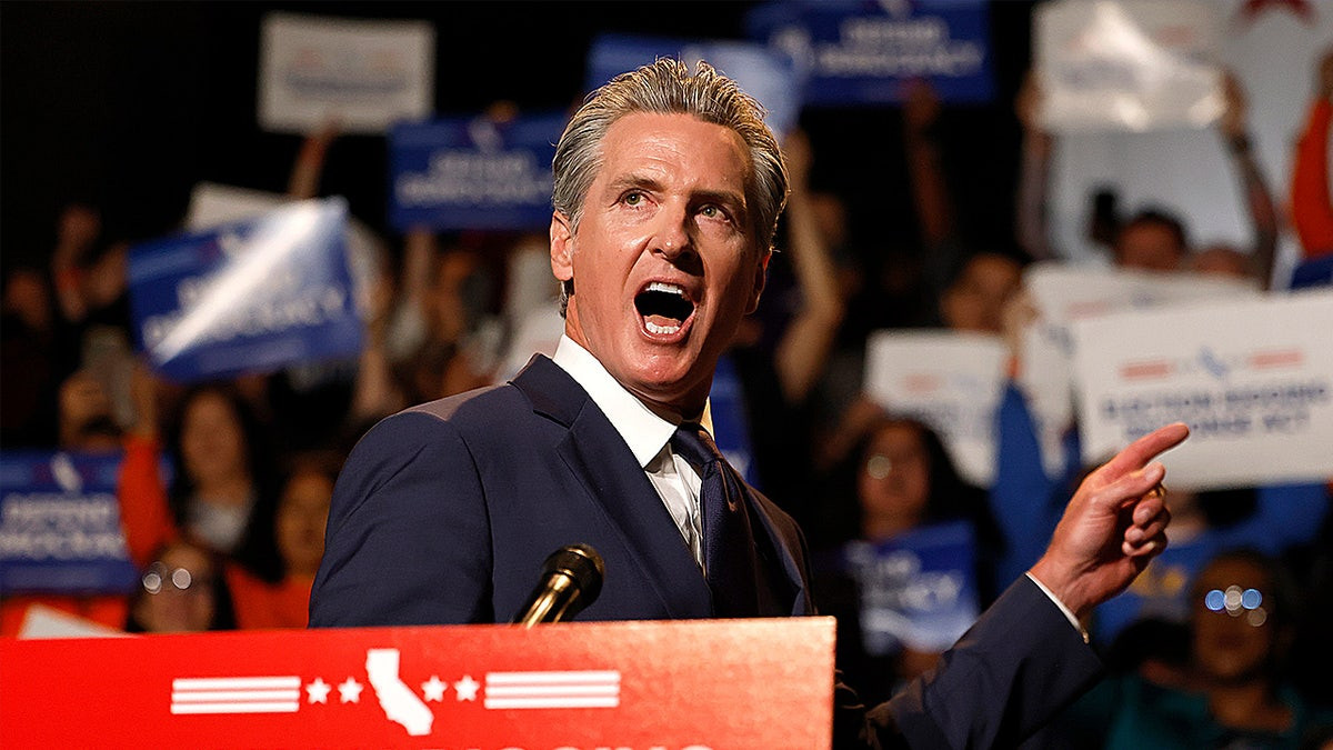 Border official fires back at Gavin Newsom's political ‘tantrum' over immigration raids in Los Angeles  at george magazine