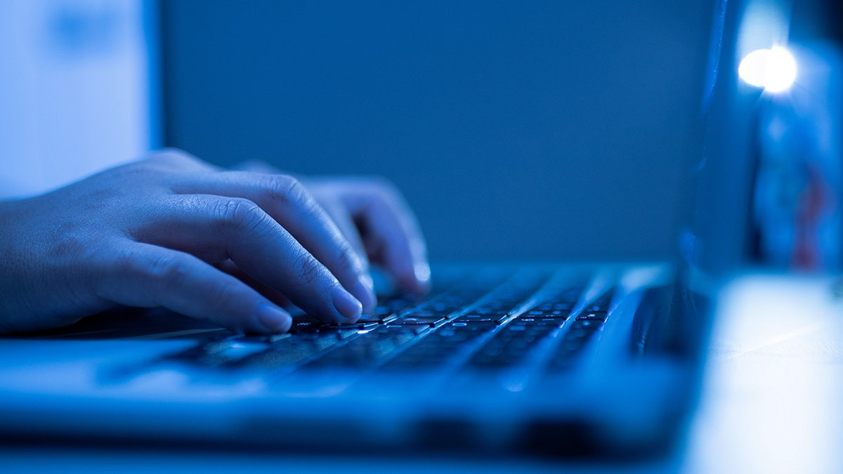 Chinese national sentenced to prison for sabotaging employer's systems with 'kill switch'  at george magazine