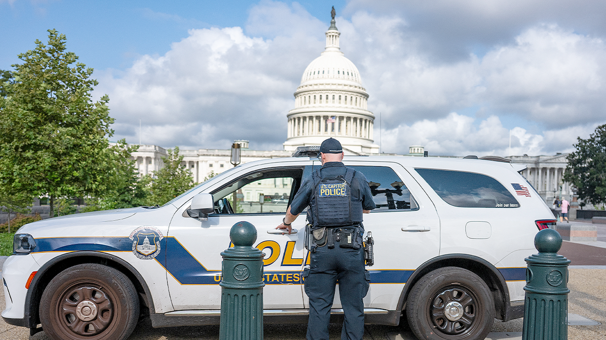 DC shop owners alarmed by ‘out of control’ youth crime as Trump deploys National Guard  at george magazine