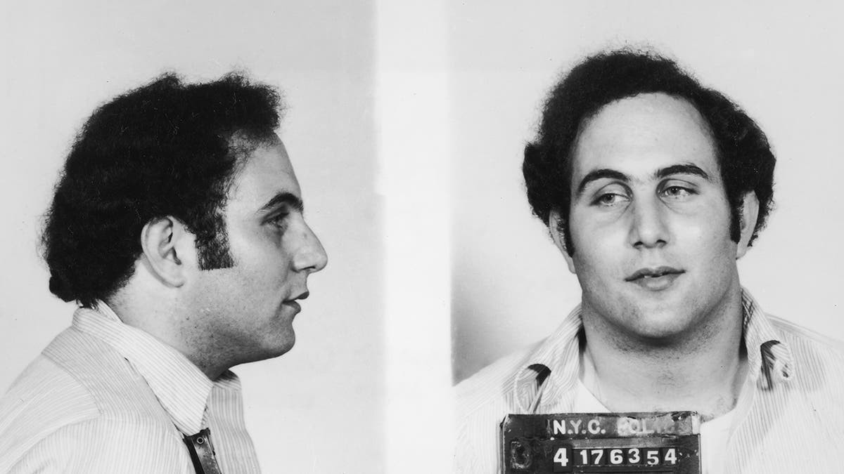 Unearthed ‘Son of Sam’ prison tapes reveal chilling details about serial killer David Berkowitz  at george magazine