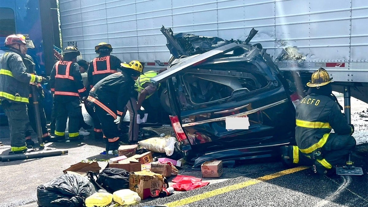 Expert reveals how illegal immigrant trucker may have gotten commercial license before fatal Florida crash  at george magazine