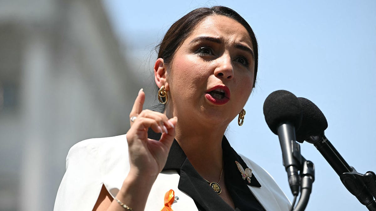 House Dem declares she is a 'proud Guatemalan' before American at Progressive International conference  at george magazine