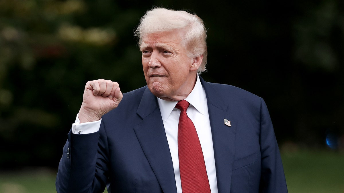 Donald Trump as strongman, riling up his base and investigating his enemies  at george magazine