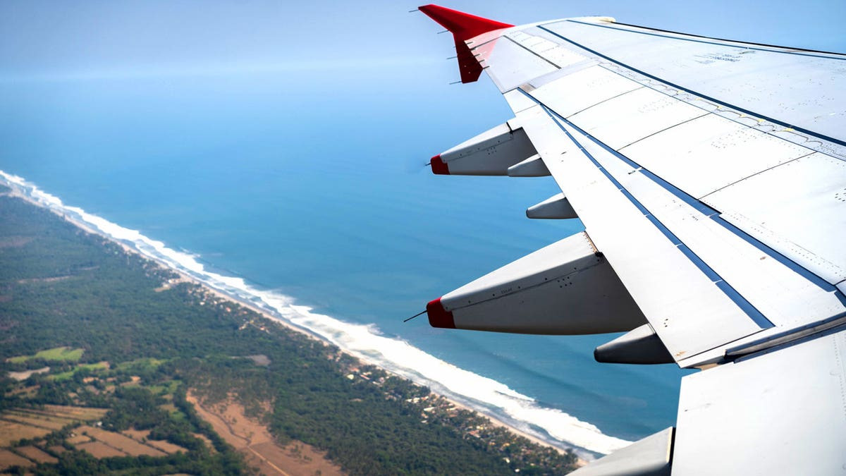 Flesh-eating parasite case detected in US traveler returning from Central America  at george magazine