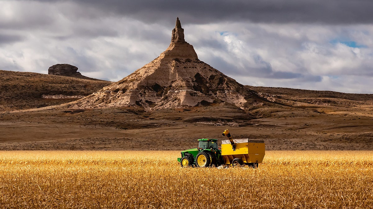 Agriculture is the answer to America’s junk food crisis  at george magazine