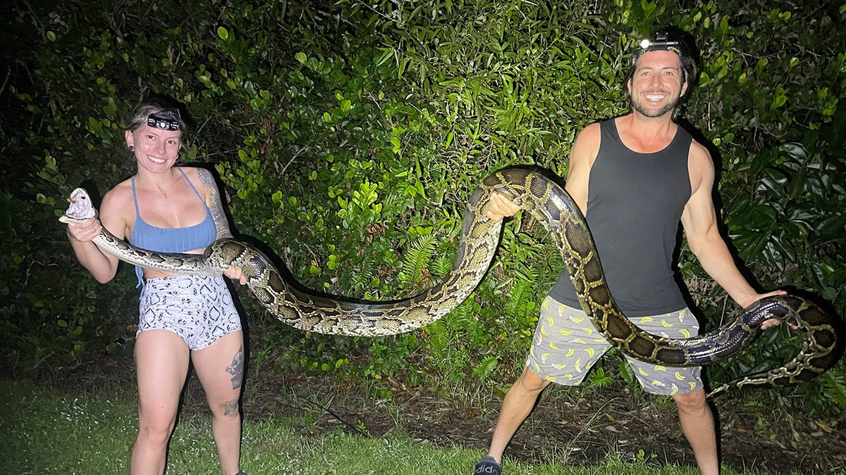 Florida woman wins annual python challenge with record snake haul  at george magazine
