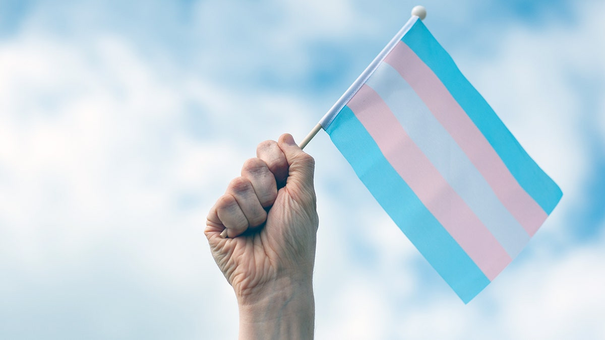 Judge dismisses Wyoming sorority case on transgender member, citing 'expansive' definition of woman  at george magazine