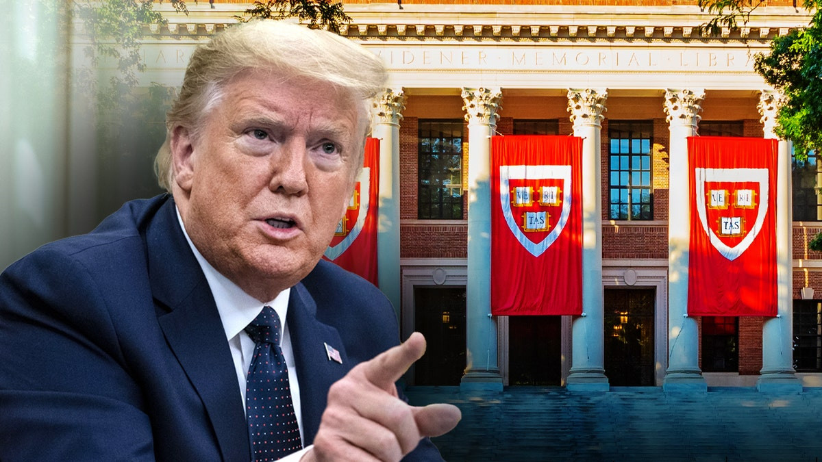 Harvard and Trump administration close to $500 million settlement: report  at george magazine