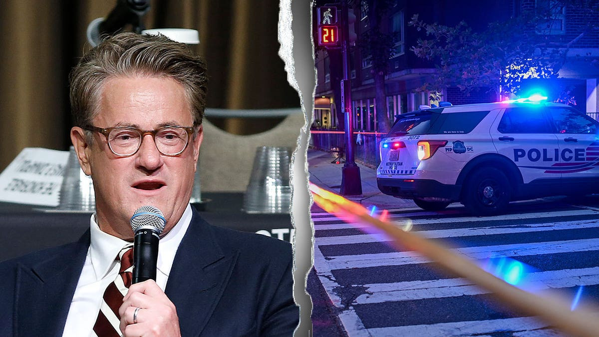 MSNBC host reveals DC journalist privately shared concerns about crime while publicly denouncing Trump's plan  at george magazine