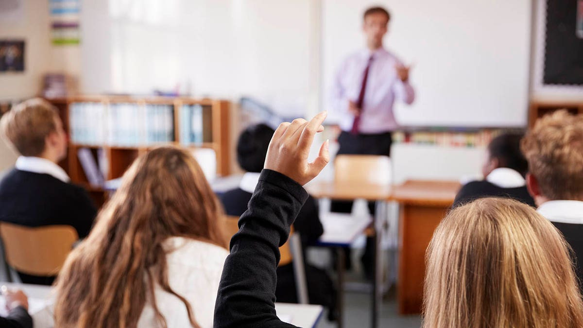Illinois parents wary of school mental health screening law, potential for 'overreach'  at george magazine