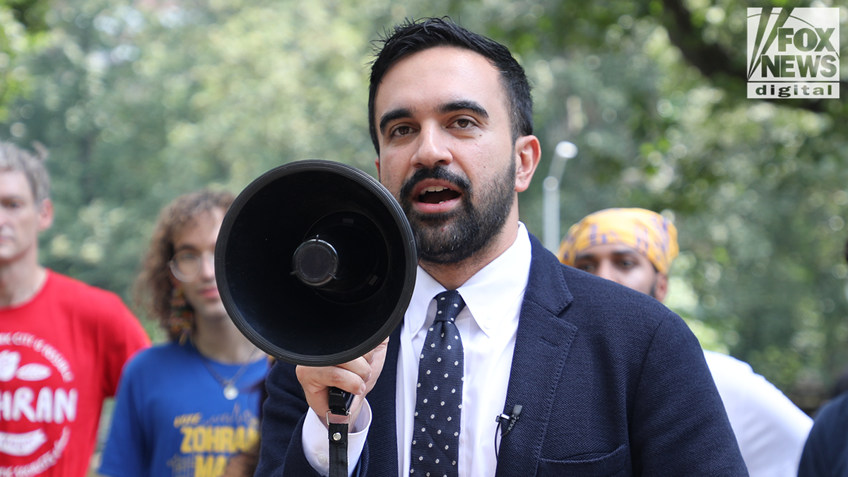 Zohran Mamdani’s policies 'won't work' in New York, Andrew Cuomo argues  at george magazine