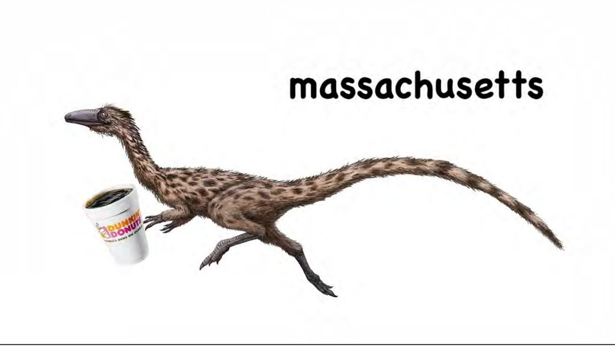 Dunkin’ Donuts and dinosaurs: The wildest crowdsourced ideas to replace Massachusetts’ state flag  at george magazine