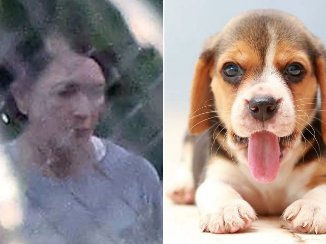 Ghislaine Maxwell blocked from puppy training program at Federal Prison Camp Bryan: report