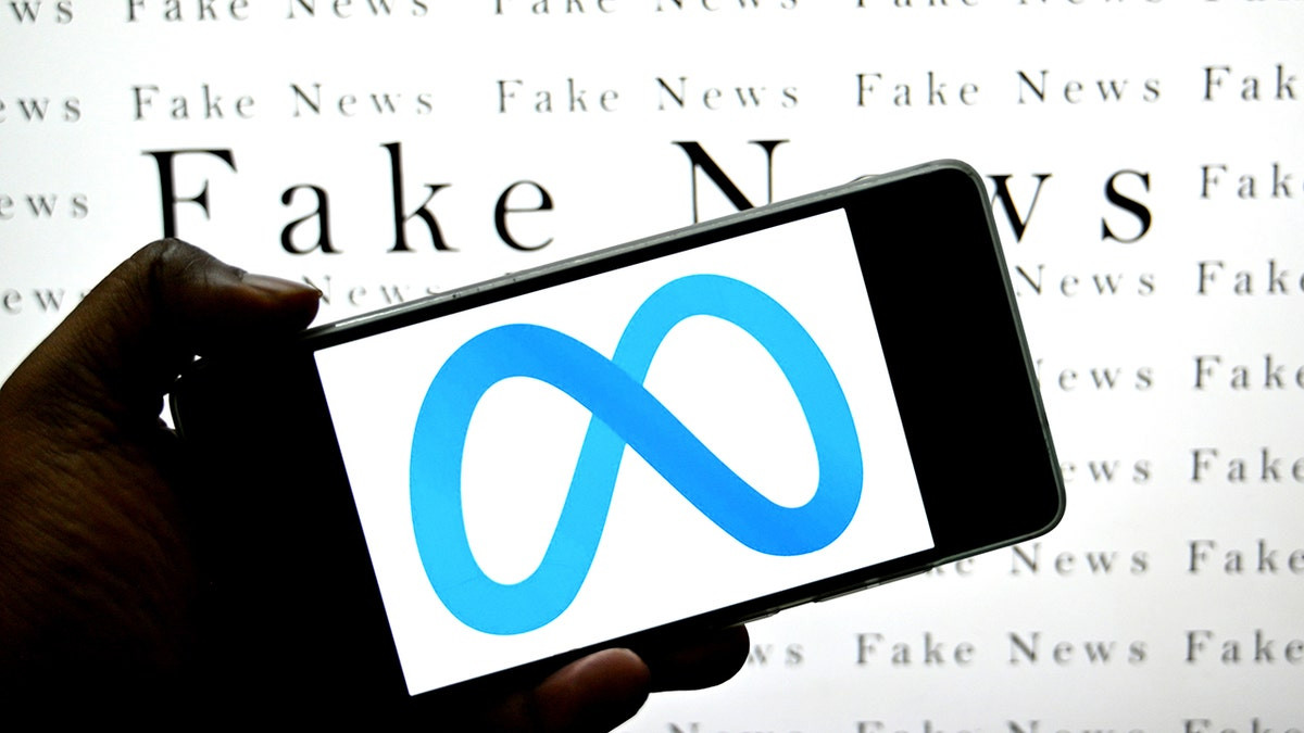 Wash Post columnist says Meta's new community notes fact-checking system 'nowhere near up to the task'  at george magazine