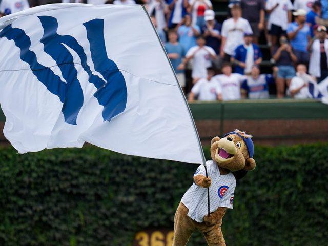 Baseball fan goes viral for working on laptop during Cubs’ win over Brewers