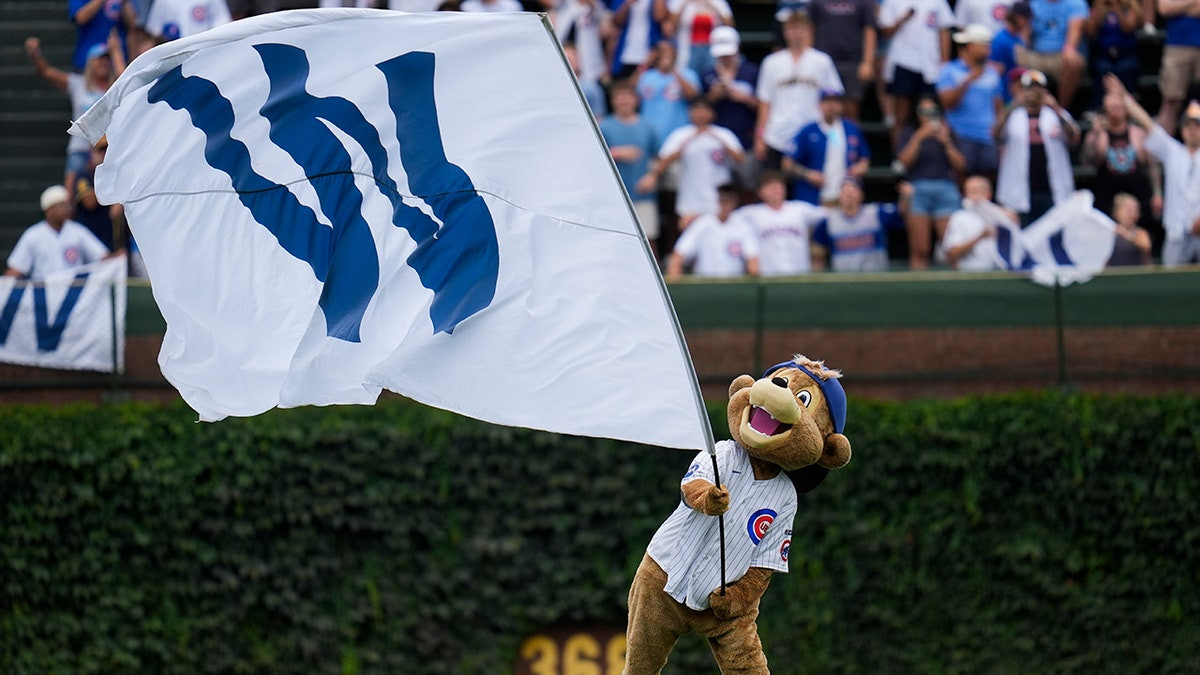 Baseball fan goes viral for working on laptop during Cubs' win over Brewers  at george magazine