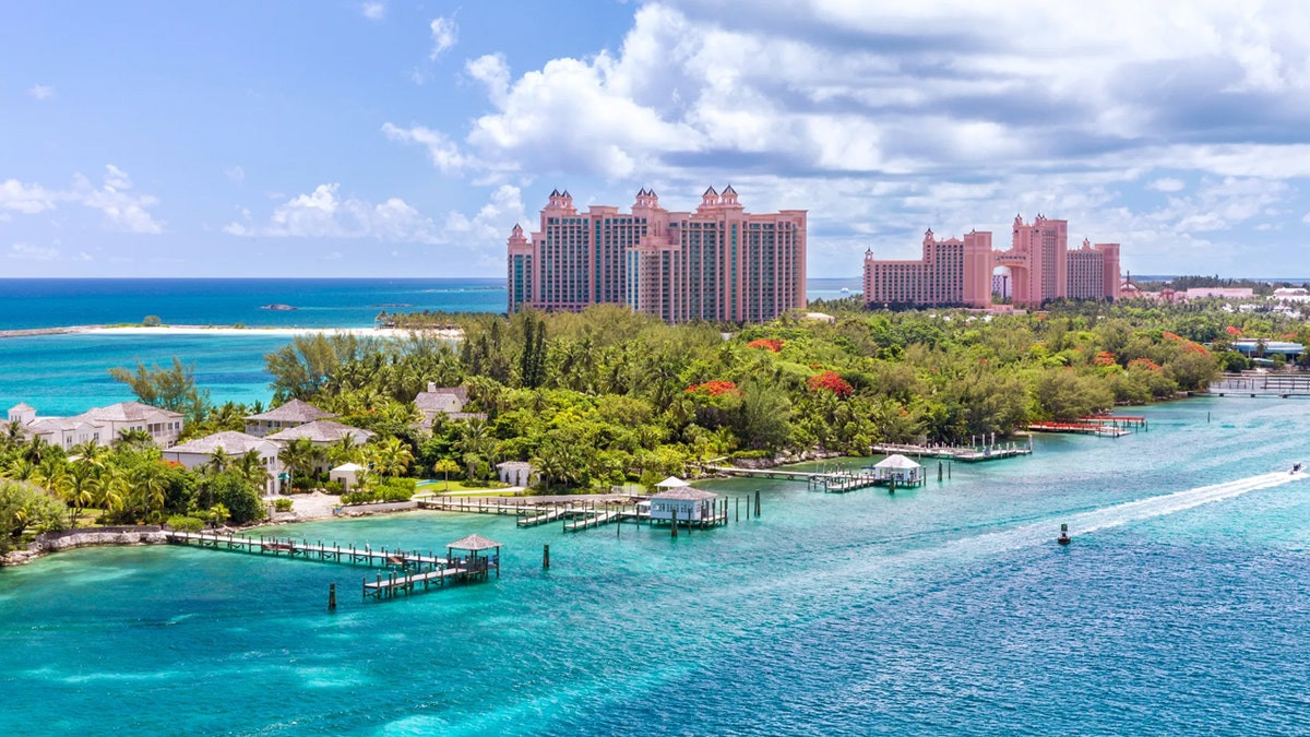 American tourist attacked by shark in vacation hot spot  at george magazine