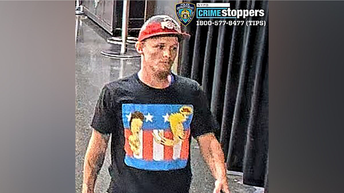 New York police search for suspect accused of hitting 12-year-old girl with adult toy at WNBA game  at george magazine