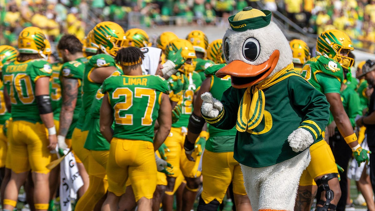 Oregon's mascot loses head after tripping on the field  at george magazine