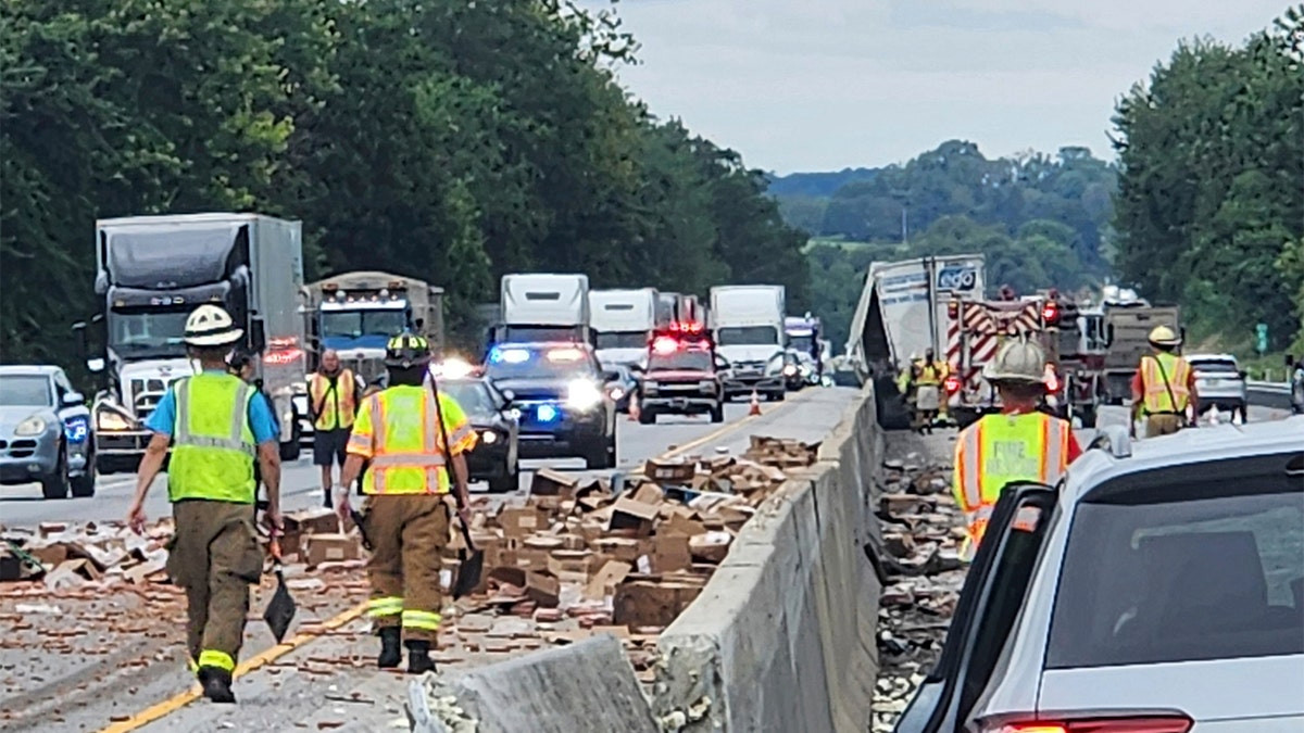 Hot dogs spill across interstate after tractor trailer crash to clog commute for steamed motorists  at george magazine