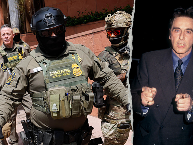 Union boss compares ICE to Al Pacino mobster as more Dems pile on immigration enforcement