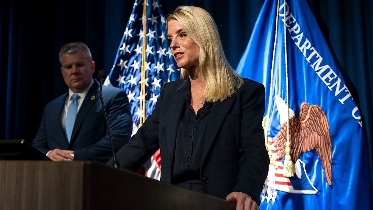 Illegal immigrants could dominate DC arrests under federalized police force, says expert  at george magazine