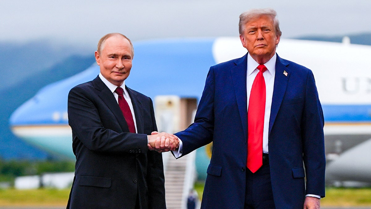 European 'coalition of the willing' forms united front as Trump pushes Putin-Zelenskyy summit  at george magazine