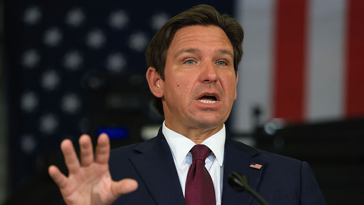 Fox News Politics Newsletter: DeSantis sends 'Chuck Norris' deputy after fugitive  at george magazine