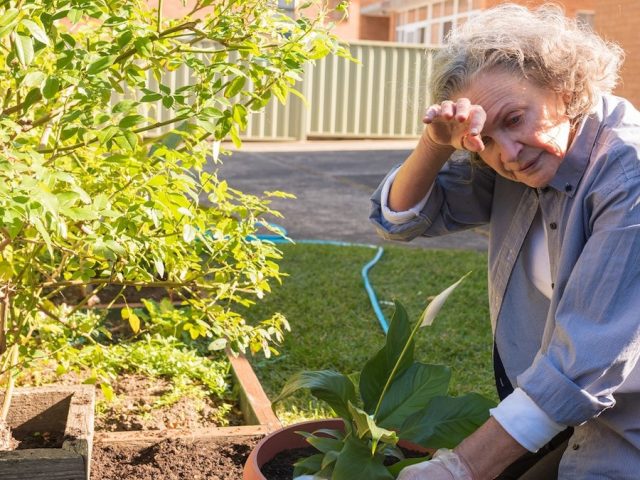 Extreme heat creates ‘recipe for disaster’ for vulnerable seniors, expert warns