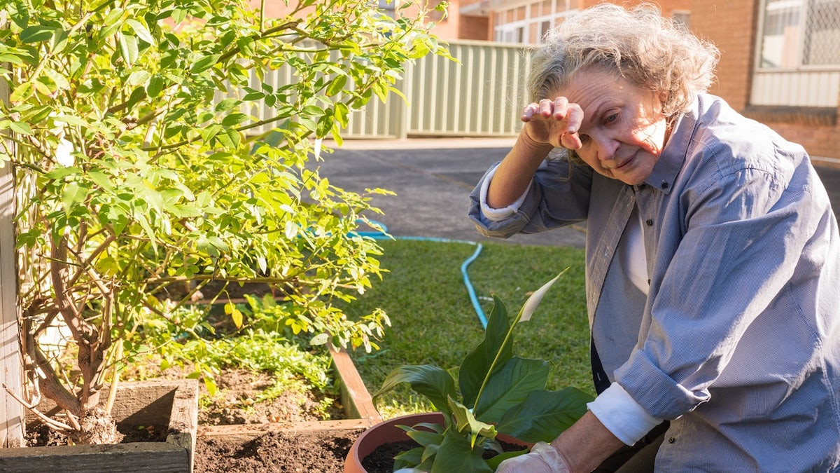 Extreme heat creates 'recipe for disaster' for vulnerable seniors, expert warns  at george magazine