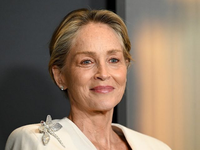 Sharon Stone admits her most lucrative gig isn’t acting after losing $18M post-health scare