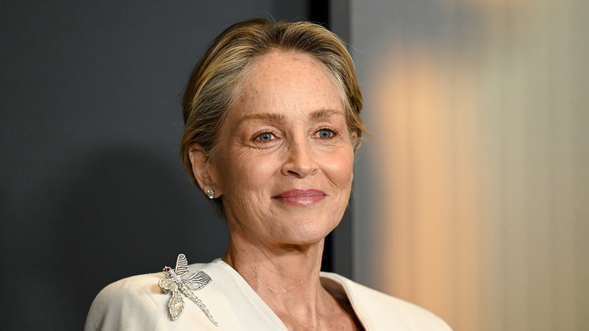 Sharon Stone admits her most lucrative gig isn't acting after losing $18M post-health scare  at george magazine