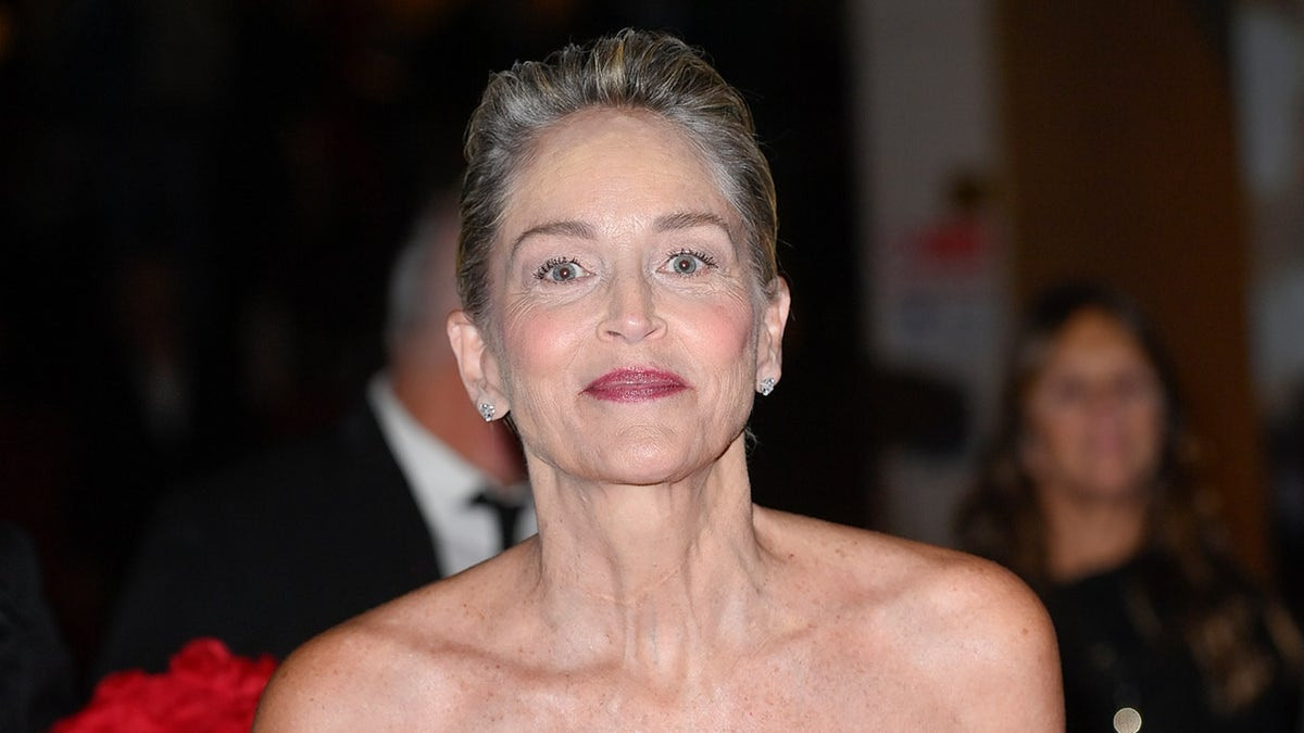 Sharon Stone confirms unexpected celebrity dating rumor with Grammy winner  at george magazine