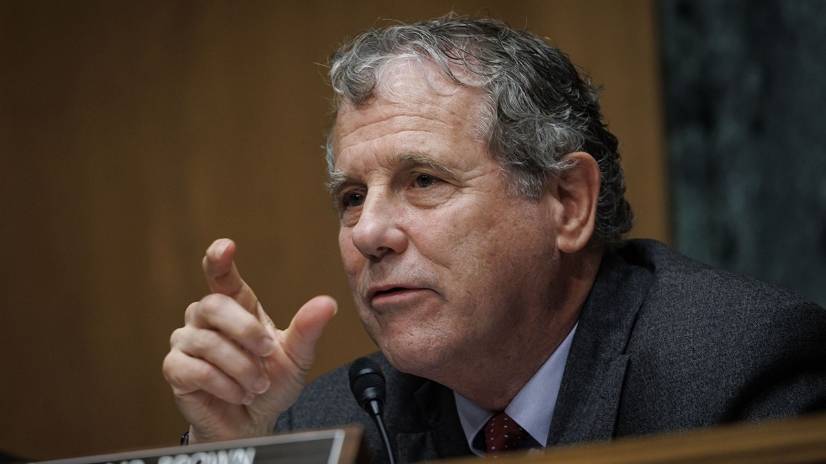 MAGA-ousted Dem senator from key swing state launches comeback campaign after losing seat in 2024: report  at george magazine