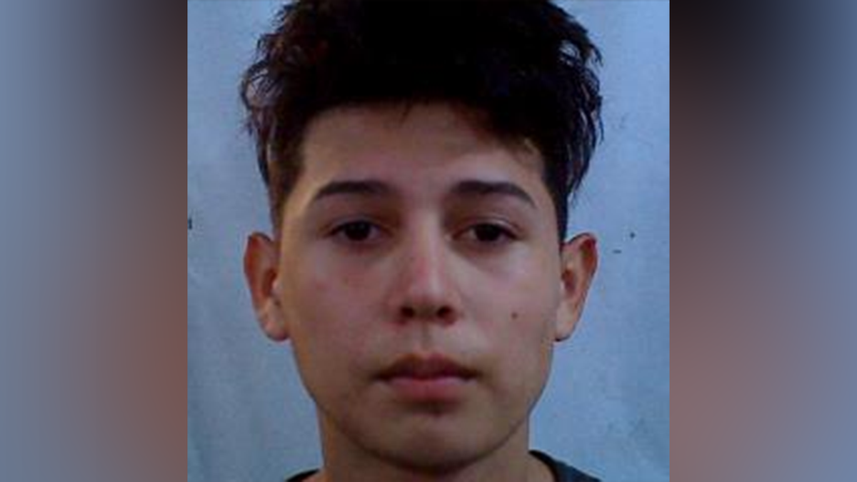 Illegal immigrant facing attempted murder charges for stabbing victim multiple times at soccer game  at george magazine