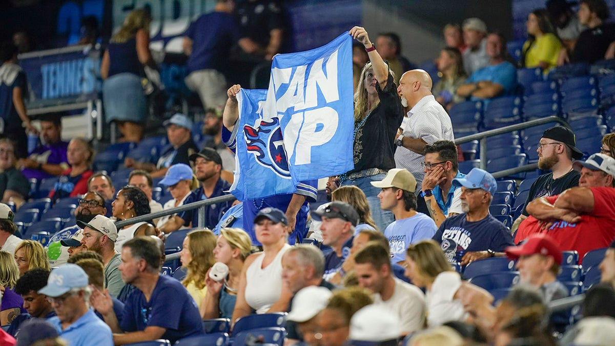 Titans' final preseason game marred by adult toy thrown onto field  at george magazine