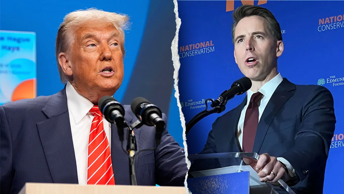 WATCH: Trump ‘wants to get' stock-trading ban done, Hawley insists after president's brutal attack on bill  at george magazine