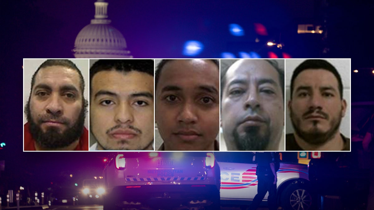 DHS reveals illegal migrants convicted of child molestation, rape arrested in DC under Trump crime crackdown  at george magazine